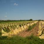 2017OTRA-1_432 (August 24, 2017)